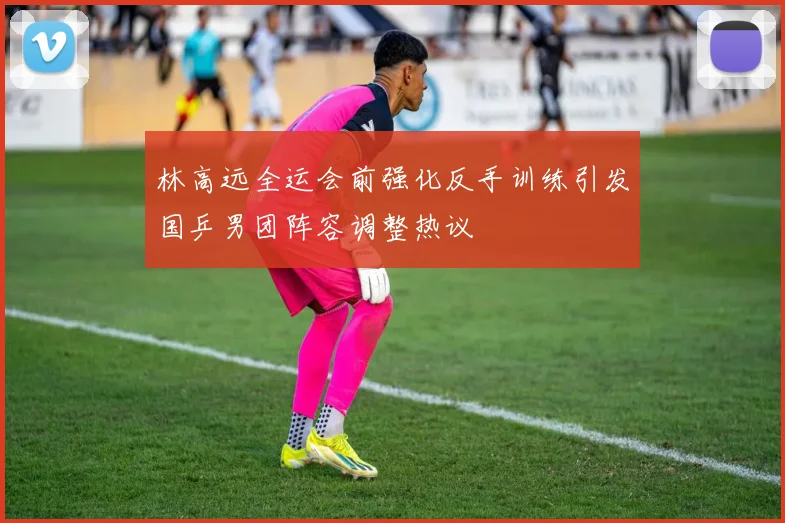 林高远全运会前强化反手训练引发国乒男团阵容调整热议
